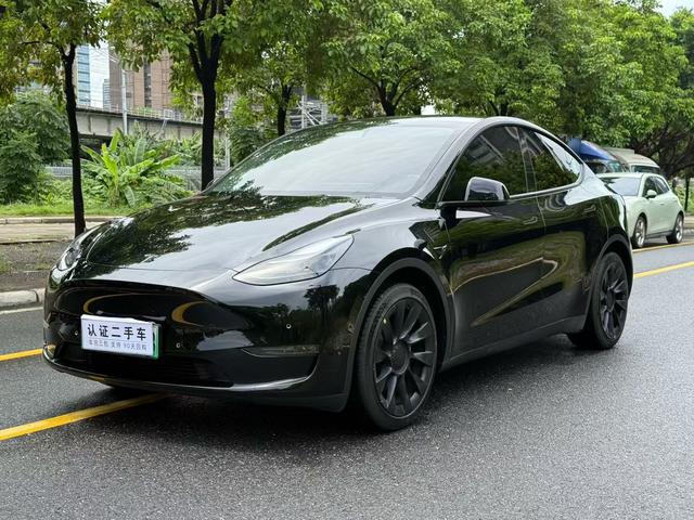 Model Y 2021 Standard Range Rear-Wheel Drive