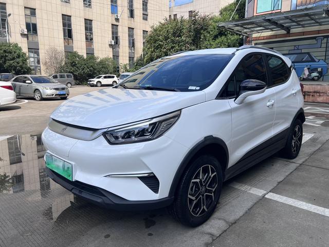 Yuan Pro 2021 One Life Edition