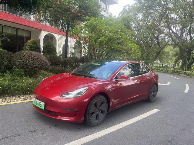 Model 3 (Import) 2019 Long Range Rear Drive Edition