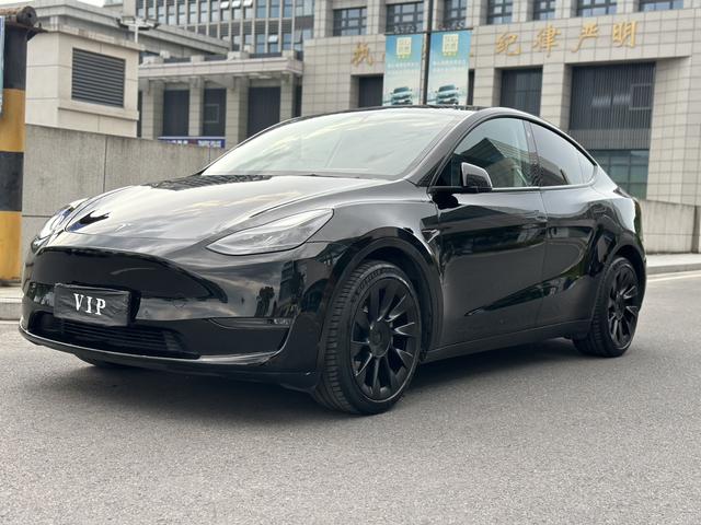 Model Y 2021 Standard Range Rear-Wheel Drive