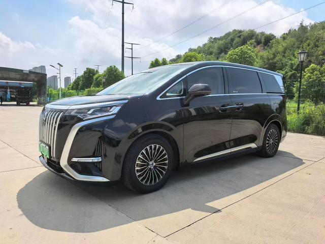 Denza D9 EV 2024 model 600 four-wheel drive premium type