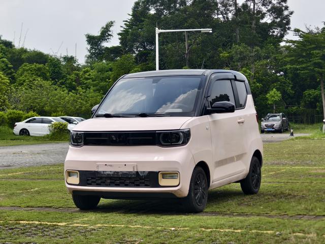 Wuling Hongguang MINIEV 2022 Yuexiang Lithium Iron Phosphate