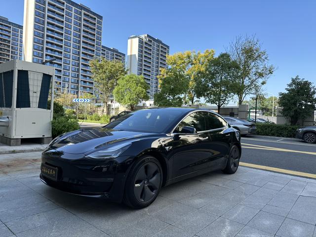 Model 3 (Import) 2019 Long Range Rear Drive Edition