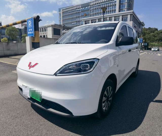 Wuling Hongguang Pure Electric Version 2024 300KM Standard Type