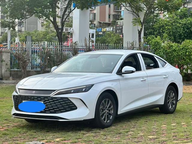 Qin L DM 2024 DM-i 80KM leading type