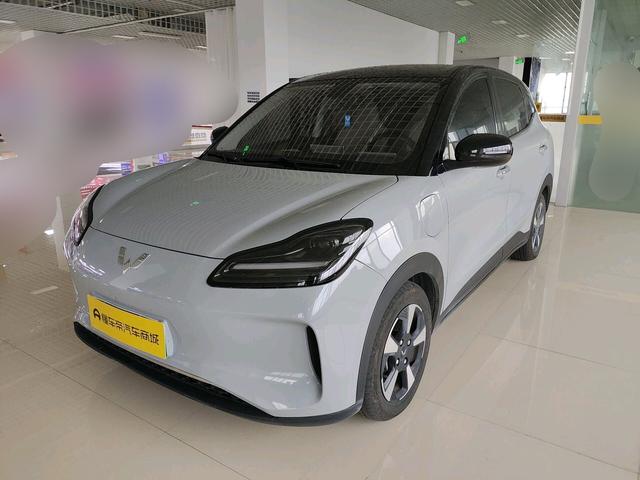 Wuling Bingguo PLUS 2024 510km Ultimate Edition