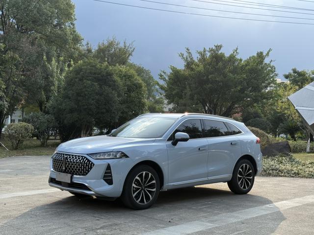 Mocha 2021 2.0T four-wheel drive special alcohol version