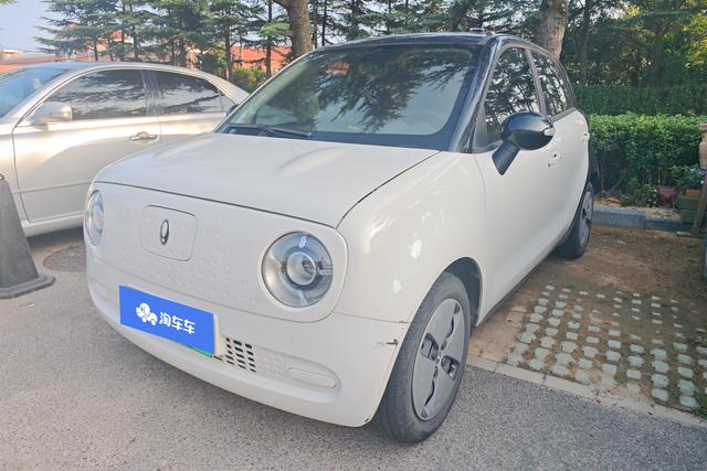 Euler Black Cat 2022 Model 301km Cute Version Lithium Iron Phosphate