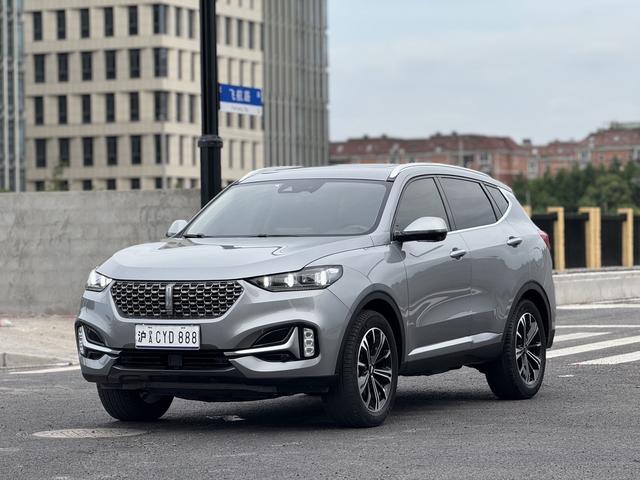 Wei brand VV6 2021 2.0T two-wheel drive smart enjoy+