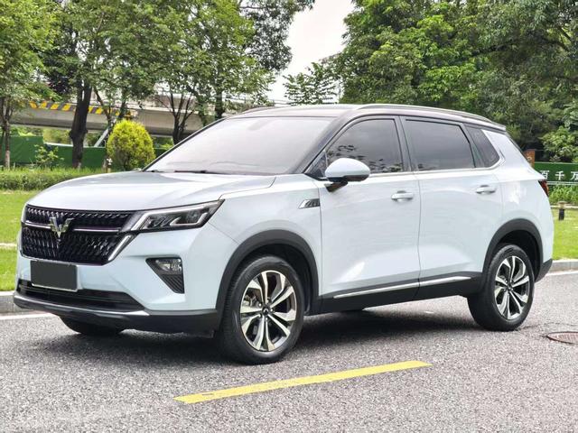 Wuling Xingchen 2022 Model 2.0L DHT Electric Speed Model