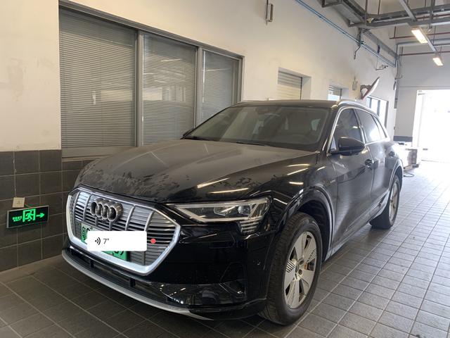 Audi e-tron (import) 2019 55 quattro stylish