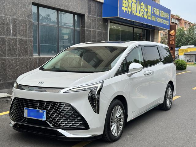 Century 2023 2.0T Six-Seat Embracing World Edition