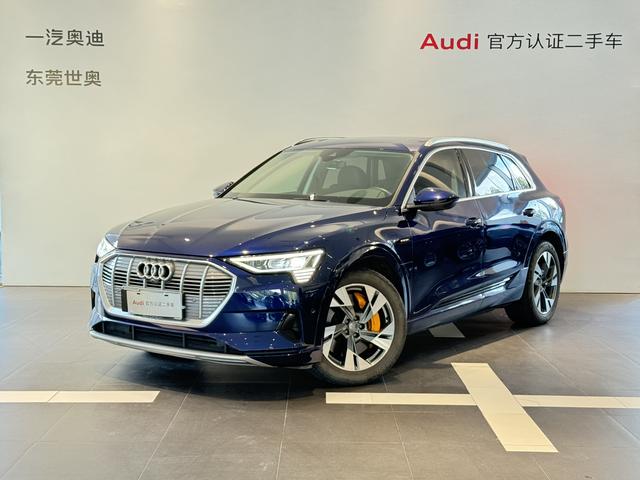 Audi e-tron (import) 2019 55 quattro stylish