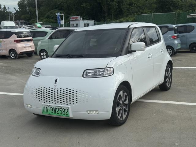 Euler White Cat 2020 Model 305km Luxury Type