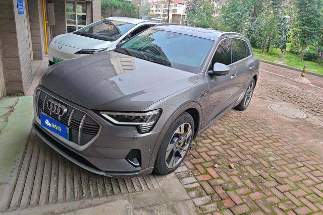 Audi e-tron (import) 2019 55 quattro stylish