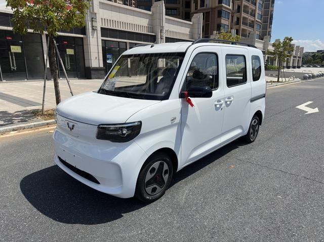 Wuling Zhiguang EV 2025 Aggressive Type