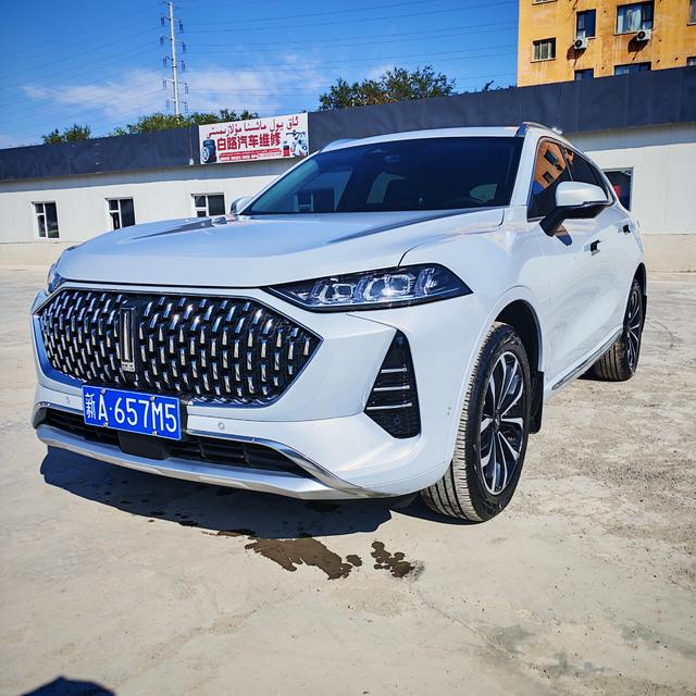 Mocha 2021 2.0T two-wheel drive special alcohol version