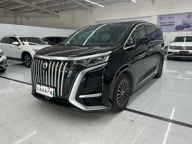 Tengsten D9 EV 2022 600 4WD Flagship