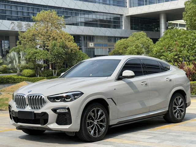 BMW X6 2020 xDrive30i M Sport Package