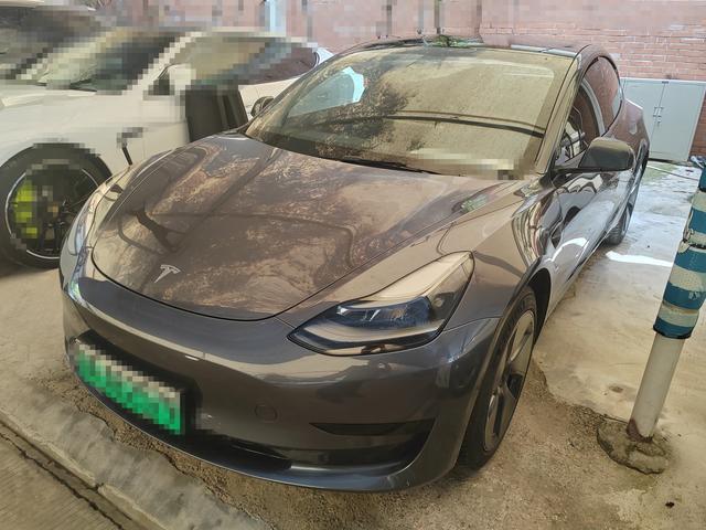 Model 3 2021 Standard Range Rear Drive Upgrade 3D6