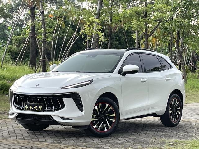 Fengxing T5 EVO 2021 1.5TD DCT Diamond Edition