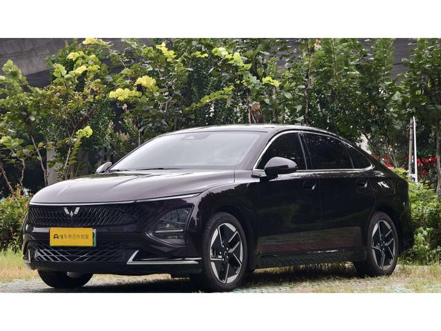 Wuling Xingguang PHEV 2024 Co-creation Version 150 Standard Type