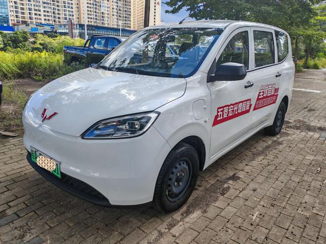 Wuling Hongguang Pure Electric Version 2024 300KM Standard Type