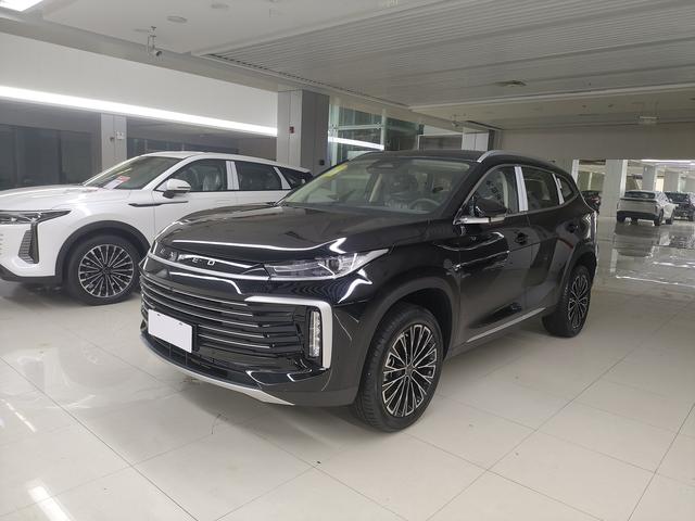 Xingtu Lingyun 2025 300T Two-wheel drive Xingyao Version