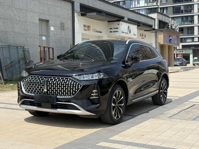 Mocha 2021 2.0T two-wheel drive special alcohol version