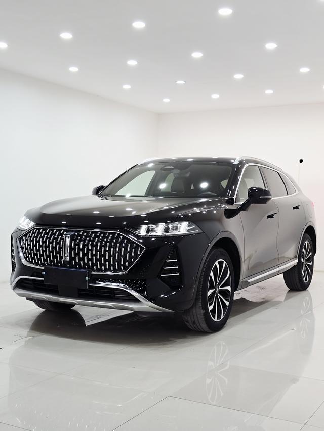 Mocha 2021 2.0T two-wheel drive extra thick version