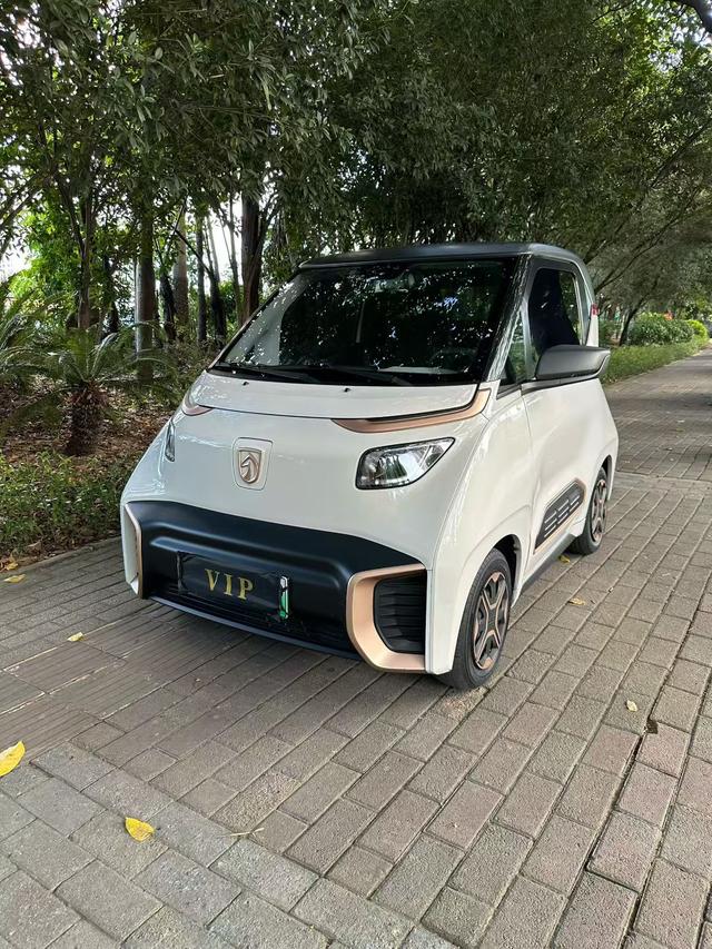 Baojun E200 2020 305KM Intelligent Edition