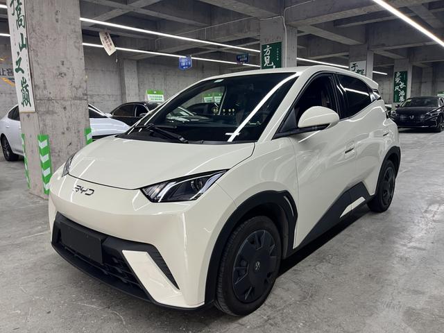 Seagull 2024 Glory Edition 305KM Vitality Edition