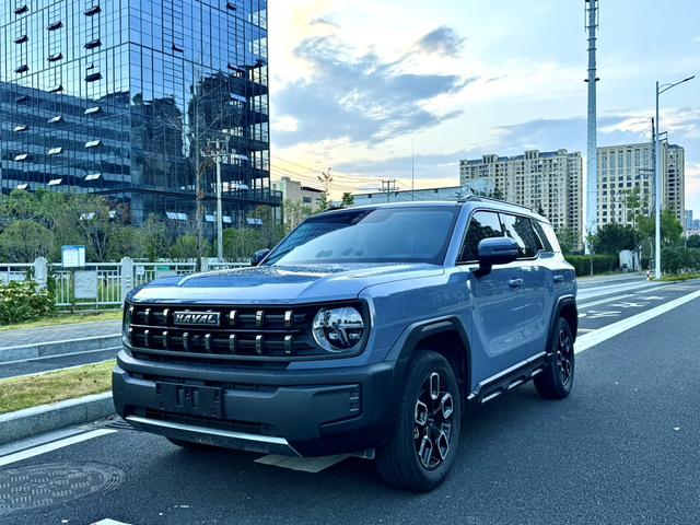 Haval Cool Dog 2022 1.5T Tide Sound Version
