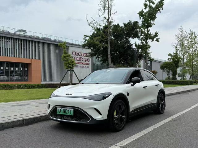smart elf #3 2023 Pulse 4WD