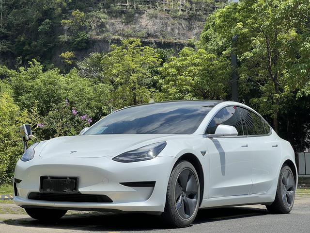 Model 3 (Import) 2019 Standard Range Rear Drive Upgrade