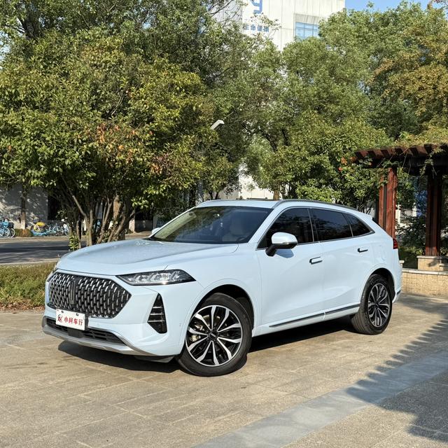 Mocha 2021 2.0T four-wheel drive special alcohol version