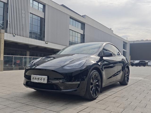 Model Y 2021 Standard Range Rear-Wheel Drive