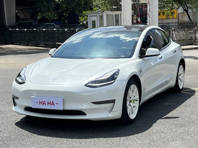 Model 3 (Import) 2019 Long Range All-Wheel Drive Edition