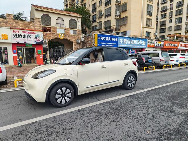 Wuling Bingguo 2025 Model 333KM Yuexiang Model