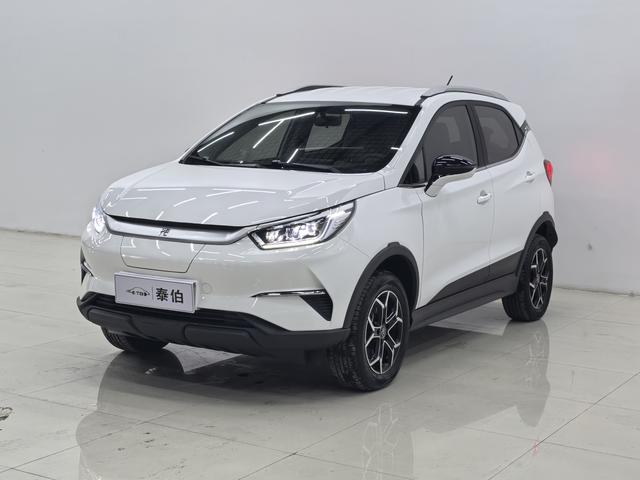 Yuan Pro 2021 401KM Deluxe