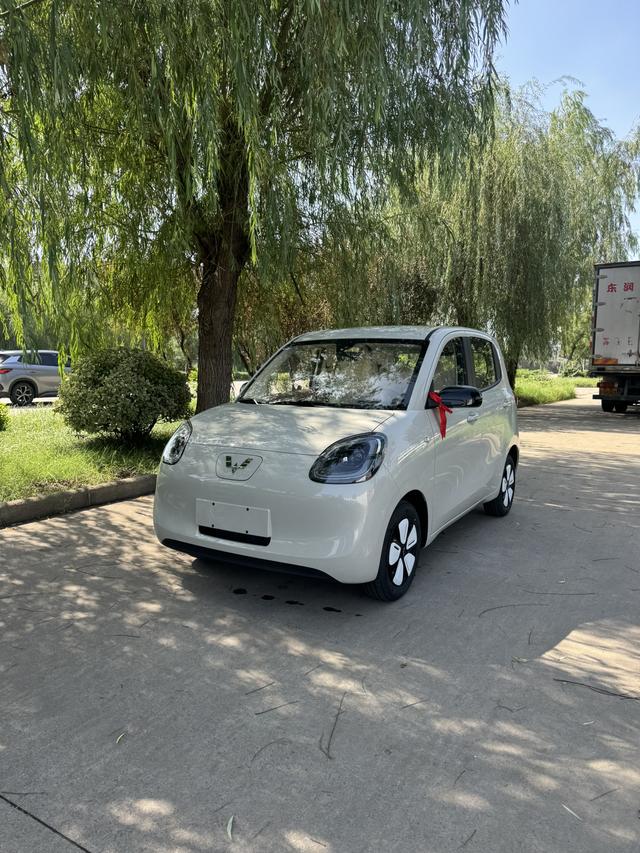 Wuling Nano EV 2025 rear drive 4-seater pure electric original customized version