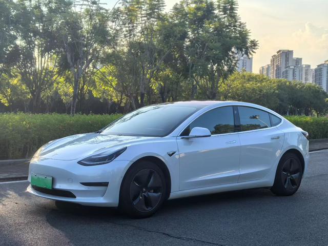 Model 3 (Import) 2019 Long Range Rear Drive Edition