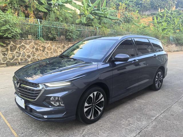 Capgemini Victory 2020 1.5T CVT Flagship