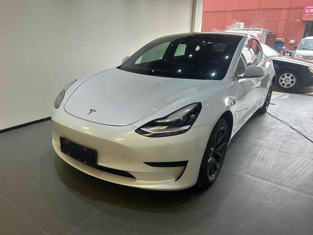 Model 3 (Import) 2019 Standard Range Rear Drive Upgrade