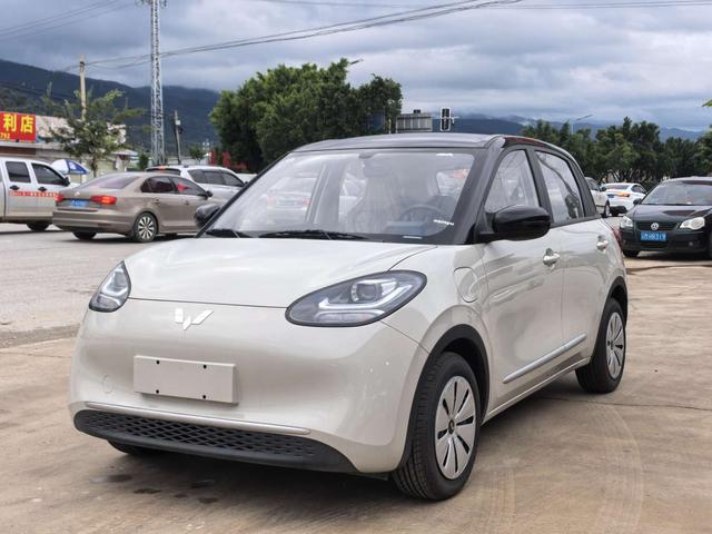 Wuling Bingguo 2025 Model 203KM Light Enjoyment Model