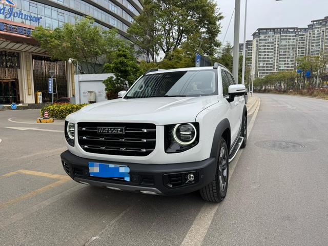 Havoc Big Dog 2021 2.0T 4WD Chinese Garden Dog Edition