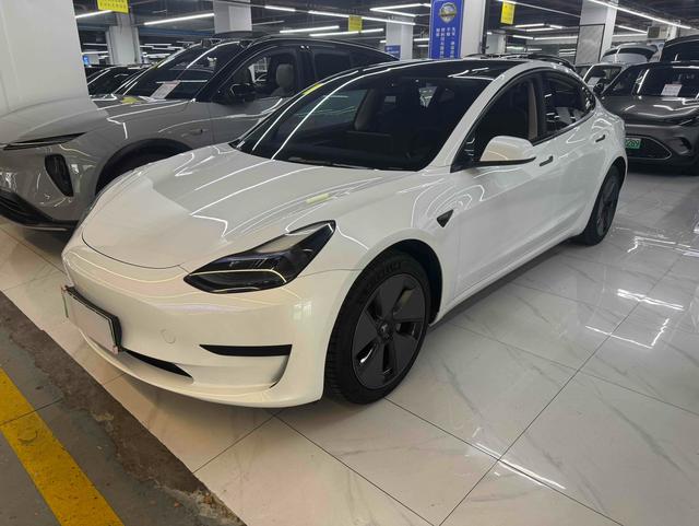 Model 3 2021 Standard Range Rear Drive Upgrade