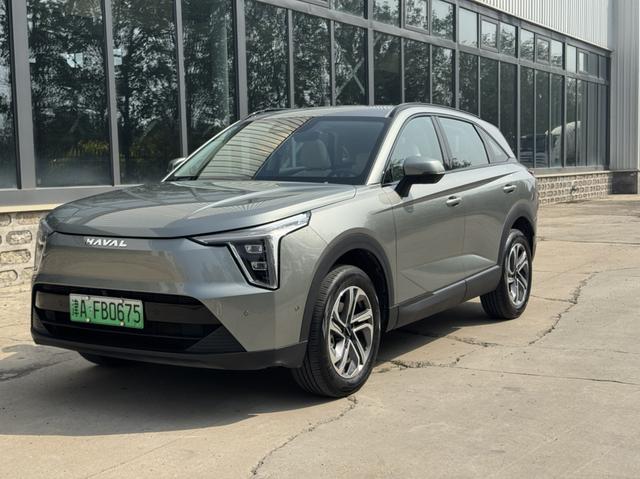 Havalon 2023 1.5L 110km Pilot Edition