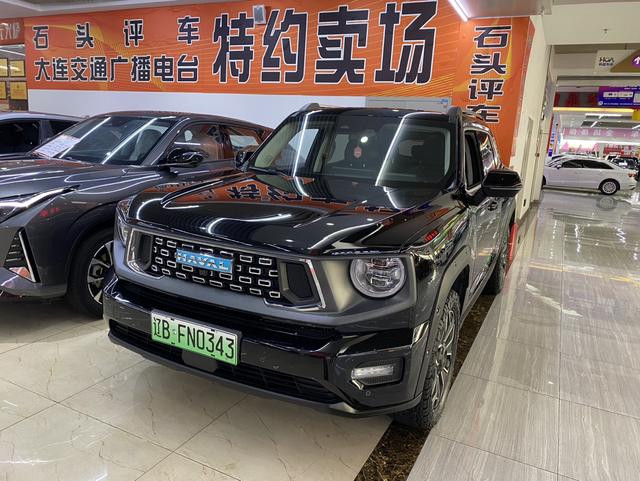 Haval Big Dog PLUS PHEV 2024 Hi4 102km Four-wheel drive Tide Electric Plus