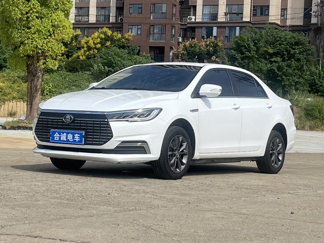 Qin EV 2020 High Range Premium Model